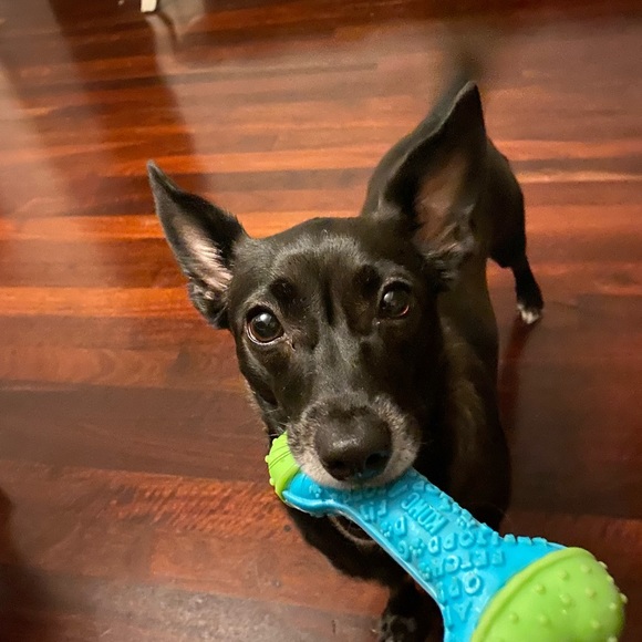 Meet your Posher, Ppru - Picture 1 of 1